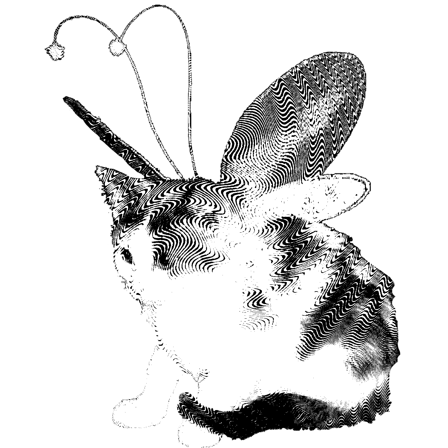 Whimsicat